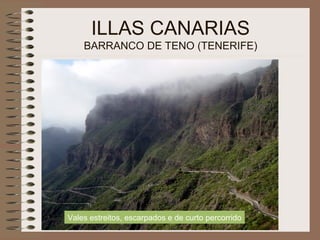 ILLAS CANARIAS
BARRANCO DE TENO (TENERIFE)
Vales estreitos, escarpados e de curto percorrido
 