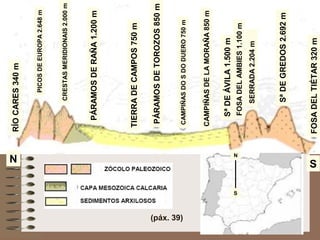 RÍOCARES340m
PICOSDEEUROPA2.648m
CRESTASMERIDIONAIS2.000m
PÁRAMOSDERAÑA1.200m
PÁRAMOSDETOROZOS850m
TIERRADECAMPOS750m
CAMPIÑASDOSDODUERO750m
CAMPIÑASDELAMORAÑA850m
SªDEÁVILA1.500m
FOSADELAMBIES1.100m
SERRADA2.204m
SªDEGREDOS2.692m
FOSADELTIÉTAR320m
N S
N
S
(páx. 39)
 