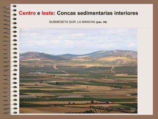 Centro e leste: Concas sedimentarias interiores
SUBMESETA SUR: LA MANCHA (páx. 39)
 