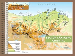 SECTOR CÁNTABRO
ORIENTAL
 