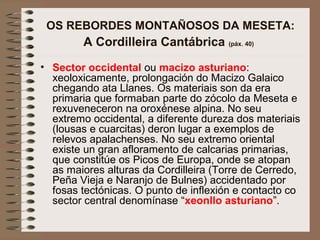 OS REBORDES MONTAÑOSOS DA MESETA:
A Cordilleira Cantábrica (páx. 40)
• Sector occidental ou macizo asturiano:
xeoloxicamente, prolongación do Macizo Galaico
chegando ata Llanes. Os materiais son da era
primaria que formaban parte do zócolo da Meseta e
rexuveneceron na oroxénese alpina. No seu
extremo occidental, a diferente dureza dos materiais
(lousas e cuarcitas) deron lugar a exemplos de
relevos apalachenses. No seu extremo oriental
existe un gran afloramento de calcarias primarias,
que constitúe os Picos de Europa, onde se atopan
as maiores alturas da Cordilleira (Torre de Cerredo,
Peña Vieja e Naranjo de Bulnes) accidentado por
fosas tectónicas. O punto de inflexión e contacto co
sector central denomínase “xeonllo asturiano”.
 