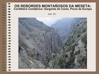 OS REBORDES MONTAÑOSOS DA MESETA:
Cordilleira Cantábrica: Garganta do Cares. Picos de Europa
(páx. 40)
 