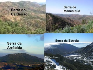 Serra do
Caldeirão
Serra de
Monchique
Serra da
Arrábida
Serra da Estrela
 