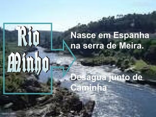 Nasce em Espanha
na serra de Meira.
Desagua junto de
Caminha
 