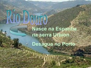 Nasce na Espanha
na serra Urbion.
Desagua no Porto
 