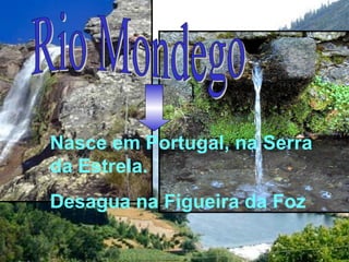 Nasce em Portugal, na Serra
da Estrela.
Desagua na Figueira da Foz
 