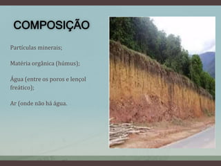 COMPOSIÇÃO
Partículas minerais;
Matéria orgânica (húmus);
Água (entre os poros e lençol
freático);
Ar (onde não há água.
 