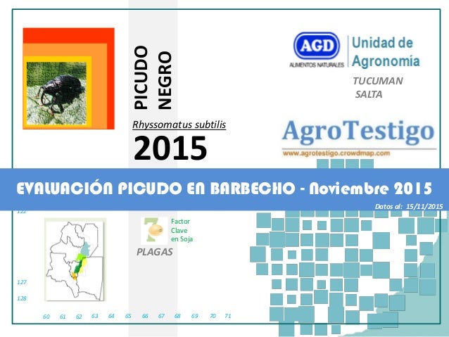 61 62 63 64 65 66 67 68 69 70 7160
128
127
122
PLAGAS
Factor
Clave
en Soja
TUCUMAN
SALTA
PICUDO
NEGRO
Rhyssomatus subtilis...