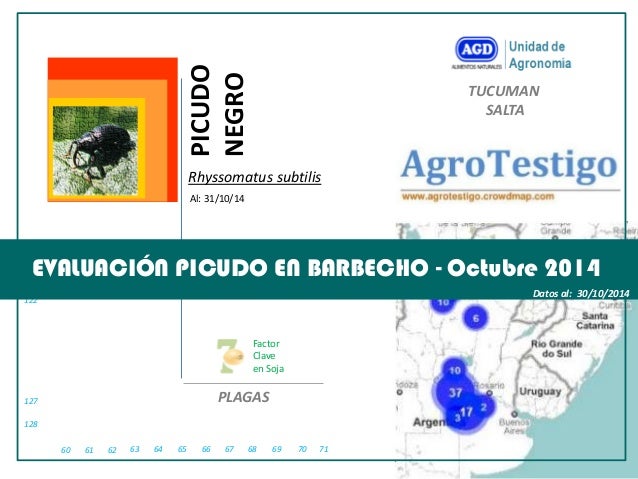 61 
62 
63 
64 
65 
66 
67 
68 
69 
70 
71 
60 
128 
127 
122 
EVALUACIÓN PICUDO EN BARBECHO - Octubre 2014 
Datos al: 30/...
