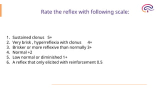 Reflexes (Deep, superficial & Pathological Reflexes) | PPTX