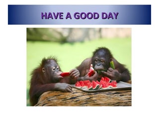 HAVE A GOOD DAYHAVE A GOOD DAY
 