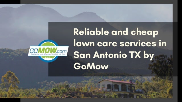 Are You Searching For Reliable And Cheap Lawn Care Services In San An