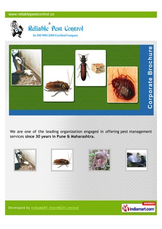 We are one of the leading organization engaged in offering pest management
services since 30 years in Pune & Maharashtra.
 