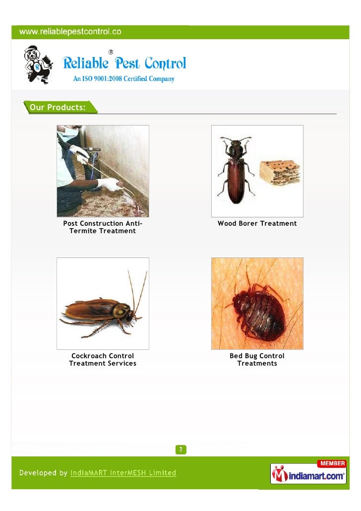 Reliable Pest Control,Pune, Pest Control