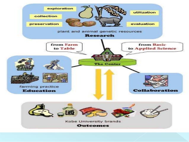 relince fresh strategy Reliance retail is studied in terms of its stp, swot analysis and competitors along with tagline, usp and sector. relince fresh strategy Reliance retail is studied in terms of its stp, swot analysis and competitors along with tagline, usp and sector.