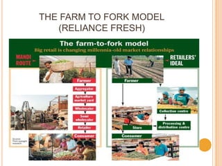 THE FARM TO FORK MODEL
   (RELIANCE FRESH)
 