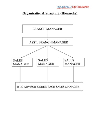 Organizational Structure (Hierarchy)
SALES
MANAGER
BRANCH MANAGER
SALES
MANAGER
SALES
MANAGER
ASST. BRANCH MANAGER
25-30 ADVISOR UNDER EACH SALES MANAGER
 