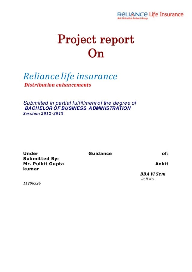 Reliance insurance project file