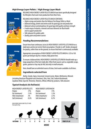 27.
SpecificationSheets
High Energy Layer Pellets / High Energy Layer Mash
Reliance High energy layer pellets/mash have been specifically designed
for lifestylers that want more production from their hens.
RELIANCE High energy layer pellets/mash CONTAINS:
• HigherenergyandproteinthantheRelianceFreeRangePelletsorMash
• Balancedenergy,proteinandaminoacidsforgoodeggsizeandproduction
• Balancedcalciumandphosphorusforgoodeggshellqualityandbonestrength
• Awiderangeofvitamins,mineralsandtraceelementsforflockhealth
andtosupportproduction
• Yolkcolourantforgoldenyolks
• Qualitygrainandproteinsources
Feeding Recommendations
Ensure hens have continuous access to High Energy Layer pellets/Mash on a
daily basis and do not restrict feed consumption. Provide in self- feeders designed
for poultry, rather than on the ground, to ensure that feed is continuously available.
Appropriate consumption of High Energy Layer pellets/Mash is 125 to 130
grams per bird per day for a mature, fully grown hen.
To ensure a balanced diet, High Energy Layer pellets/Mash should make up a
large proportion of the hen’s daily diet. Other feed sources such as vegetable scraps,
grains, pasture or hay may be fed, but only in small amounts.
Hens should have an unlimited source of clean, fresh water available at all times.
Ingredients selected from
Barley,Canola,Copra,Grassmeal,Linseed,Lysine,Maize,Methionine,Minerals
(includingDicalciumPhosphateandLimestone),Oats,Peas,Salt,SodiumBicarbonate,
SoyabeanMeal,SoyaOil,Threonine,Vitamins,Wheat,Wheatby-products,Yolkcolourant.
Typical Analysis (As fed basis)
high energy Layer Pellets	high energy Layer MASH
Protein		 17%	 Protein		 17%	
Fat(minimum)	 1.5%	 Fat(minimum)	 1.5%
Fibre(maximum)	 3%	 Fibre(maximum)	 3.5%	
Salt(minimum)	 0.2%	 Salt(minimum)	 0.2%
You can rely on Reliance 25kg
A product of
Layer
Mash
Complete feed for lifestylers
who want higher
performance from their flock
HIGH
ENERGY
You can rely on Reliance 25kg
A product of
Layer
Pellets
Complete feed for lifestylers
who want higher performance
from their flock
HIGH
ENERGY
Hatching	 2	 4	 6	 8	 10	12	14	16	18
Weeks
Point of Lay
High energy mash and pellets and
From point of lay
 