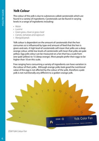 Poultryguide
6.
Yolk Colour
The colour of the yolk is due to substances called carotenoids which are
found in a variety of ingredients. Carotenoids can be found in varying
levels in a range of ingredients including:
•	Maize
•	Lucerne
•	 Green grass, clover or grass meal
•	 Carrots, tomatoes and capsicum
•	 Marigold petals
Yolk colour is dependent on the amount of carotenoids that the hen
consumes so is influenced by type and amount of feed that the hen is
given and eats. A high level of carotenoids will mean that yolks are a deep
orange colour, while low levels of carotenoids will mean that yolks are pale
yellow. Egg yolk colour can be measured on a fan that has a scale from
one (pale yellow) to 15 (deep orange). Most people prefer their eggs to be
higher than 10 on this scale.
Free ranging hens consuming a variety of ingredients can have variation in
the colour of their yolks. Although orange yolks look good the nutritional
value of the egg is not affected by the colour of the yolk, therefore a pale
yolk is not nutritionally any different to a golden orange yolk.
DSM Yolk Colour Fan
 
