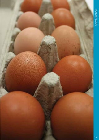 7.
Poultryguide
 