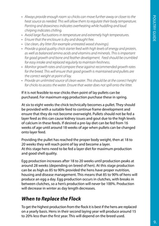 9.
Poultryguide
•	 Always provide enough room so chicks can move further away or closer to the
heat source as needed. This will allow them to regulate their body temperature.
Panting and drowsiness indicates overheating while huddling and loud
chirping indicates chilling.
•	 Avoid large fluctuations in temperature and extremely high temperatures.
•	 Ensure that the enclosure is dry and draught free.
•	 Use clean, dry litter (for example untreated wood shavings).
•	 Provide a good quality chick starter feed with high levels of energy and protein,
as well as balanced amino acids and vitamins and minerals. This is important
for good growth and bone and feather development. Feed should be crumbled
for easy intake and replaced regularly to maintain freshness.
•	 Monitor growth rates and compare these against recommended growth rates
for the breed. This will ensure that good growth is maintained and pullets are
the correct weight at point of lay.
•	 Provide an unlimited source of clean water. This should be at the correct height
for chicks to access the water. Ensure that water does not spill onto the litter.
If it is not feasible to rear chicks then point of lay pullets can be
purchased. For maximum egg production purchase these in spring.
At six to eight weeks the chick technically becomes a pullet. They should
be provided with a suitable feed to continue frame development and
ensure that they do not become overweight. Pullets should not be fed a
layer feed as this can cause kidney issues and gout due to the high levels
of calcium in these feeds. If desired a pre-lay diet can be fed from 16
weeks of age until around 18 weeks of age when pullets can be changed
onto layer feed.
Providing the pullet has reached the proper body weight, then at 18 to
20 weeks they will reach point of lay and become a layer.
At this stage hens need to be fed a layer diet for maximum production
and good shell quality.
Egg production increases after 18 to 20 weeks until production peaks at
around 28 weeks (depending on breed of hen). At this stage production
can be as high as 85 to 90% provided the hens have proper nutrition,
housing and disease management. This means that 85 to 90% of hens will
produce an egg a day. Egg production occurs in clutches, with breaks in
between clutches, so a hen’s production will never be 100%. Production
will decrease in winter as day length decreases.
When to Replace the Flock
To get the highest production from the flock it is best if the hens are replaced
on a yearly basis. Hens in their second laying year will produce around 15
to 20% less than the first year. This will depend on the breed used.
 