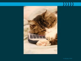 by Felix Idan / FlickR
 