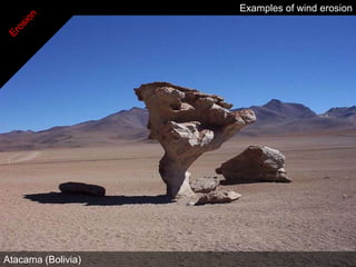 Examples of wind erosion




Atacama (Bolivia)
 