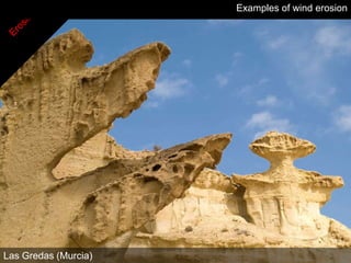 Examples of wind erosion




Las Gredas (Murcia)
 