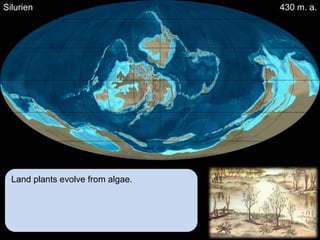 Silurien                           430 m. a.




  Land plants evolve from algae.
 