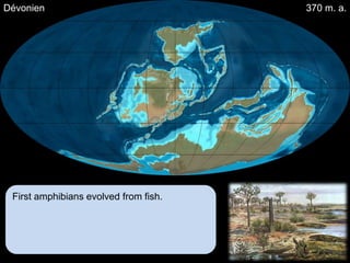 Dévonien                               370 m. a.




 First amphibians evolved from fish.
 