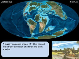 Cretaceous                                   65 m. a.




                       Asteroid




 A massive asteroid impact of 10 km caused
 the a mass extinction of animal and plant
 species.
 