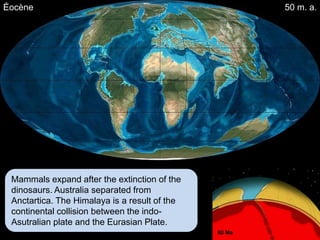 Éocène                                         50 m. a.




 Mammals expand after the extinction of the
 dinosaurs. Australia separated from
 Anctartica. The Himalaya is a result of the
 continental collision between the indo-
 Asutralian plate and the Eurasian Plate.
 