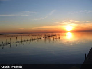 Albufera (Valencia)
 
