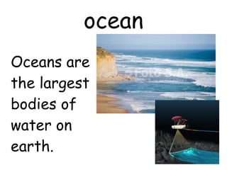 ocean Oceans are the largest bodies of water on earth. 