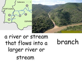 branch a river or stream that flows into a larger river or stream   