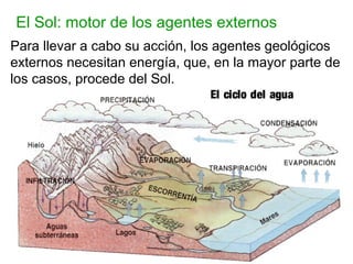 El Sol: motor de los agentes externos
Para llevar a cabo su acción, los agentes geológicos
externos necesitan energía, que, en la mayor parte de
los casos, procede del Sol.
El ciclo del agua
 