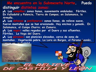 Me   encuentro en la   Submeseta Norte .  Puedo distinguir  distintas zonas:   Las  campiñas : zonas llanas, suavemente onduladas.  Fértiles.  En  Valladolid y Palencia, Tierra de Campos; en Salamanca, la Armuña . Las  dehesas  o  penillanuras : zonas llanas, de relieve suave, fueron montañas que se han erosionado. Hay encinas y ganado.  En  Salamanca, el Campo Charro; en Zamora. Las  vegas : valles regados por  el Duero y sus afluentes.  Fértiles.  La  Vega del Duero . Los  páramos : son planicies elevadas, cerca de zona de montañas.  Vegetación pobre.  La Lora en Burgos, el Páramo Leonés, Corcos en  Valladolid. EL RELIEVE  DE CASTILLA Y LEÓN Valle del Duero 