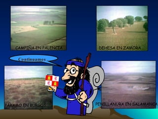 Continuamos.   CAMPIÑA EN PALENCIA DEHESA EN ZAMORA PENILLANURA EN SALAMANCA PÁRAMO EN BURGOS 