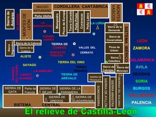 MONTES DE LEÓN Sierra de Ancares MACIZO  ASTURIANO Picos de Europa Torre Cerredo Peña Prieta  Curavacas Peña Labra Mampodre Sierra de la Cabrera Sierra  Segundera Sierra de la Culebra EL BIERZO Peña Ubiña CORDILLERA  CANTÁBRICA LA LORA MONTES VASCOS Sierra de la Demanda SISTEMA  IBÉRICO Sierra de Covarrubias Picos de  Urbión Sierra  Cebollera Sierra del Moncayo LA MARAGATERIA ALISTE ARRIBES DEL DUERO SAYAGO CAMPO CHARRO LA ARMUÑA TIERRA DE  CAMPOS PÁRAMO LEONÉS VALLES  DEL CERRATO SIERRA DE GATA  Peña de Francia SIERRA DE BÉJAR SIERRA DE GREDOS SIERRA DE LA PARAMERA SIERRA DE GUADARRAMA SOMOSIERRA SIERRA DE AYLLÓN SIERRA MINISTRA Sierra de Cabrejas SIERRAS DEL SOLORIO SISTEMA  CENTRAL TIERRA DE ARÉVALO SIERRA DE PRADALES TIERRA DEL VINO TIERRA PINARES LEÓN ZAMORA SALAMANCA ÁVILA SEGOVIA SORIA BURGOS VALLADOLID PALENCIA El relieve de Castilla-León MONTES DE TOROZOS 