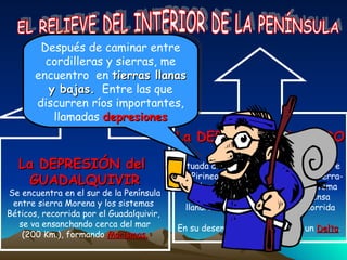 EL RELIEVE DEL INTERIOR DE LA PENÍNSULA La DEPRESIÓN del  GUADALQUIVIR Se encuentra en el sur de la Península entre sierra Morena y los sistemas  Béticos, recorrida por el Guadalquivir,  se va ensanchando cerca del mar (200 Km.), formando  Marismas. La DEPRESIÓN del EBRO Situada al noreste de la Península, entre  los Pirineos y el Sistema Ibérico y cerra- da al mar Mediterráneo por el sistema Costero- Catalana.  Es una extensa llanura de forma triangular recorrida por el Ebro.  En su desembocadura se forma un  Delta .  Después de caminar entre cordilleras y sierras, me encuentro  en  tierras llanas y bajas.   Entre las que discurren ríos importantes, llamadas  depresiones 