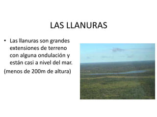 LAS LLANURASLas llanuras son grandes extensiones de terreno con alguna ondulación y están casi a nivel del mar.(menos de 200m de altura)