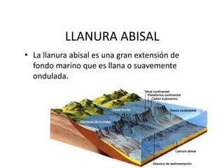 LLANURA ABISALLa llanura abisal es una gran extensión de fondo marino que es llana o suavemente ondulada.
