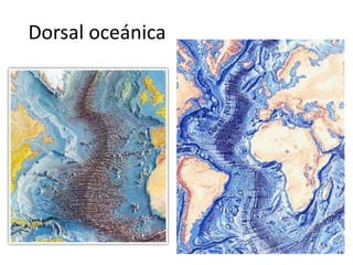 Dorsal oceánica