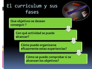 El curriculum y sus fases 