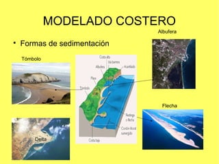 MODELADO COSTERO

Formas de sedimentación
Flecha
Tómbolo
Albufera
Delta
 
