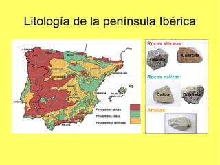 Rocas silíceas:
Rocas calizas:
Arcillas:
Granito
Cuarcita
Dolomía
Litología de la península Ibérica
Caliza
 