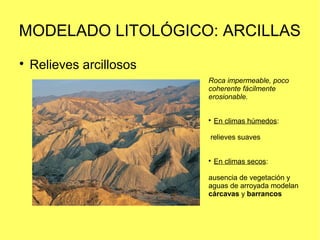 MODELADO LITOLÓGICO: ARCILLAS

Relieves arcillosos
Roca impermeable, poco
coherente fácilmente
erosionable.

En climas h...
