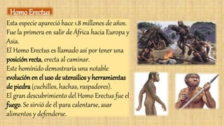 Esta especie apareció hace 1.8 millones de años.
Fue la primera en salir de África hacia Europa y
Asia.
El Homo Erectus es llamado así por tener una
posición recta, erecta al caminar.
Este homínido demostraría una notable
evolución en el uso de utensilios y herramientas
de piedra (cuchillos, hachas, raspadores).
El gran descubrimiento del Homo Erectus fue el
fuego. Se sirvió de él para calentarse, asar
alimentos y defenderse.
Homo Erectus
 