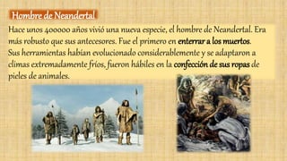 Hace unos 400000 años vivió una nueva especie, el hombre de Neandertal. Era
más robusto que sus antecesores. Fue el primero en enterrar a los muertos.
Sus herramientas habían evolucionado considerablemente y se adaptaron a
climas extremadamente fríos, fueron hábiles en la confección de sus ropas de
pieles de animales.
Hombre de Neandertal
 